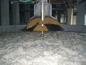 Malteurop Rostock: preparation of the barley