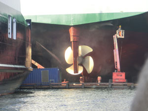 Boat trip in the port of Hamburg